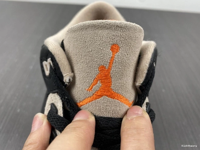 Kicktheory Elephant Desert Air Jordan CT8532-008 3 0706